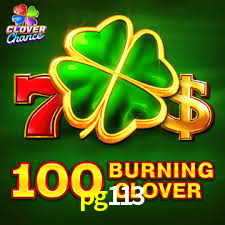 Descubra o Mundo do Cassino Online com pg113